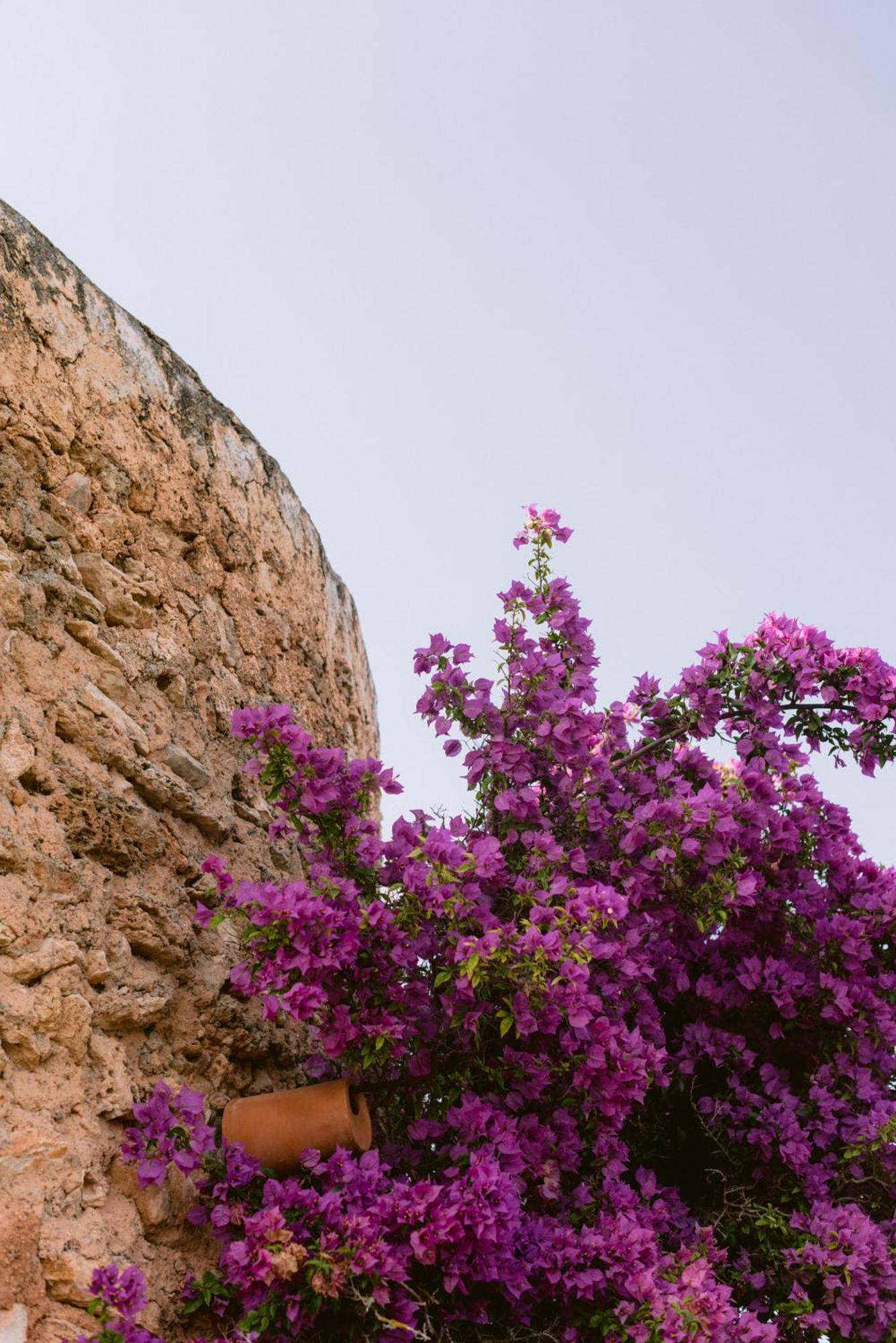 Can Quince Balafia Ibiza Hotel - Turismo De Interior 산트 요렌소 드 발라피아 외부 사진