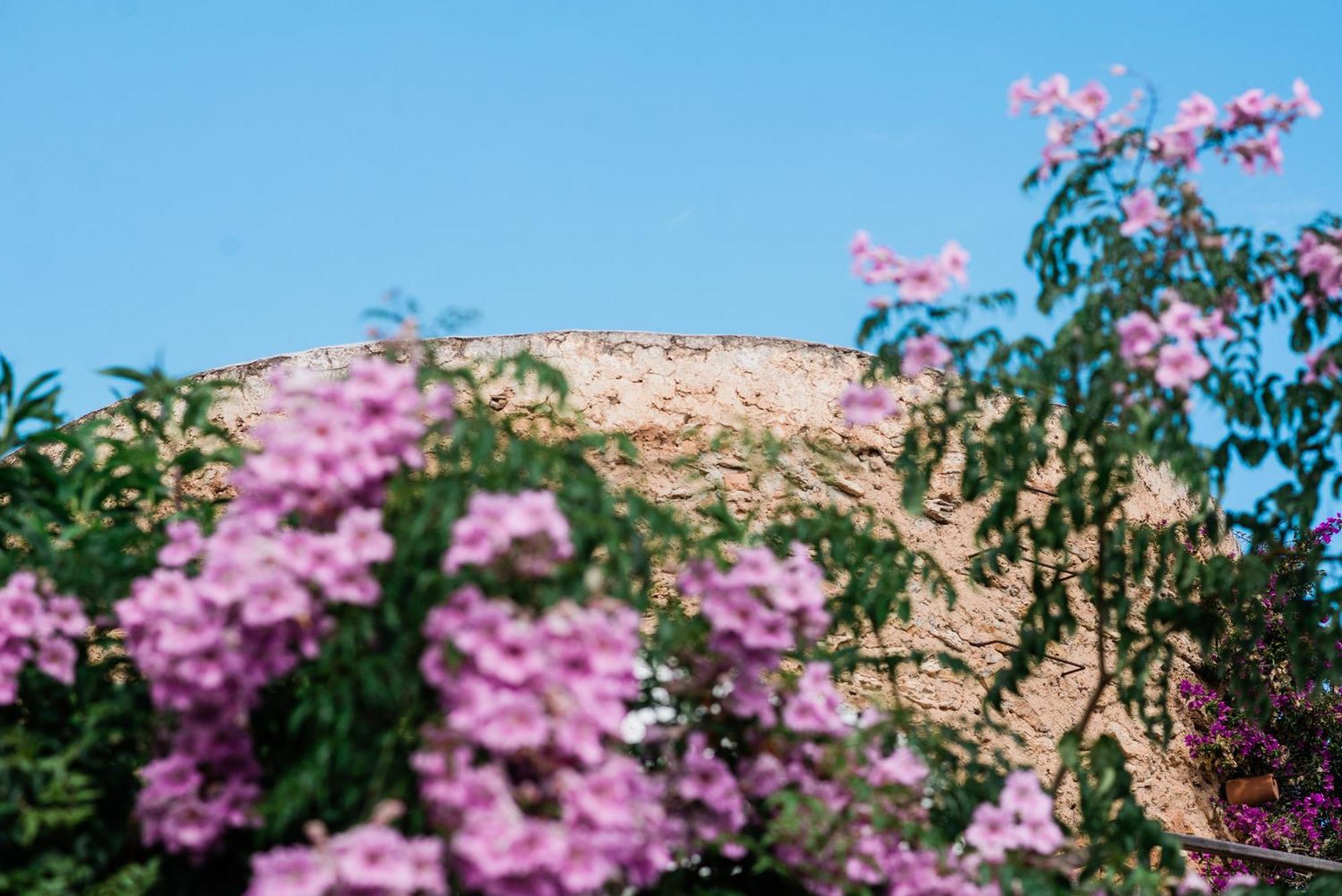 Can Quince Balafia Ibiza Hotel - Turismo De Interior 산트 요렌소 드 발라피아 외부 사진