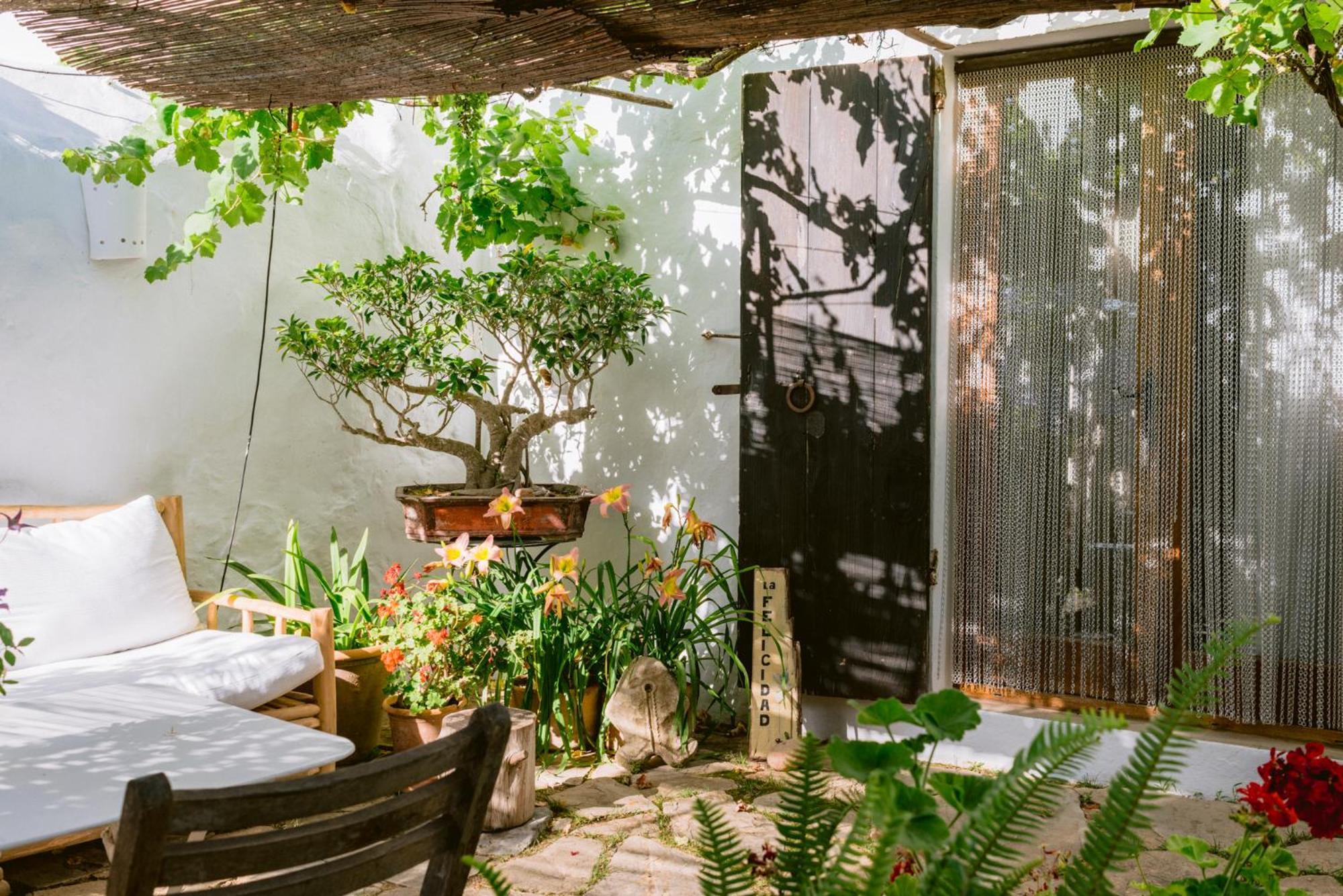 Can Quince Balafia Ibiza Hotel - Turismo De Interior 산트 요렌소 드 발라피아 외부 사진