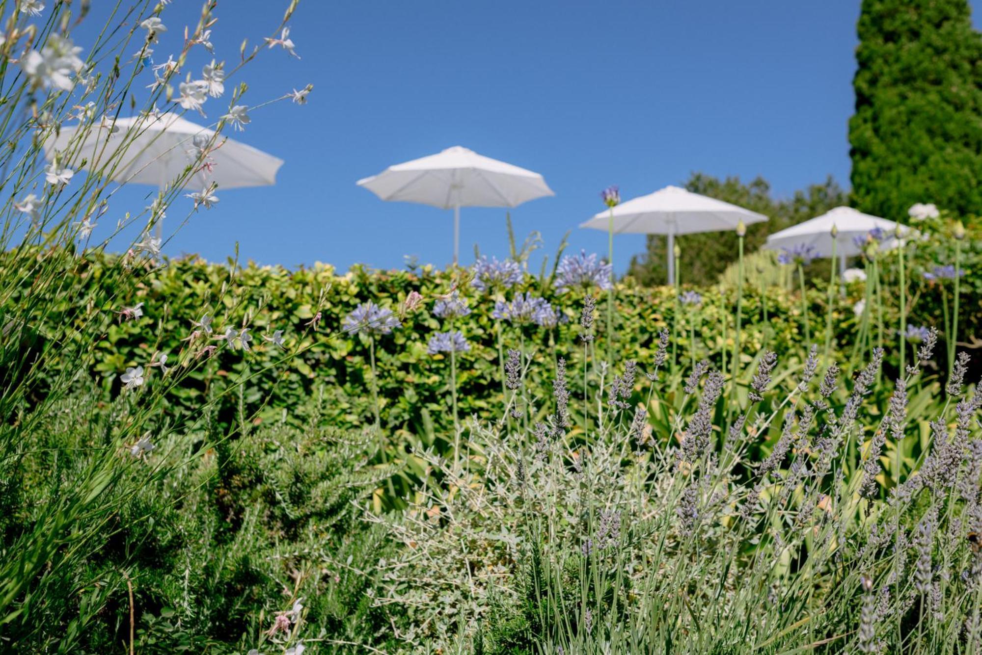 Can Quince Balafia Ibiza Hotel - Turismo De Interior 산트 요렌소 드 발라피아 외부 사진